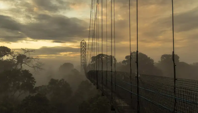 Ecuador – Amazonas-Abenteuer in der Sacha Lodge