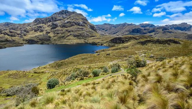Ecuador – Andenhochland, Amazonas & Galapagos