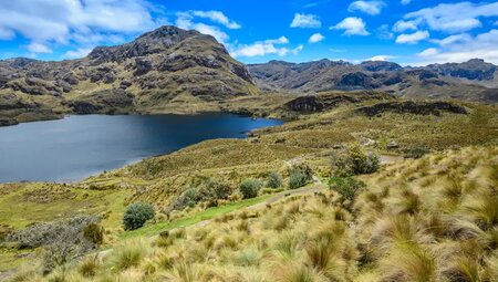 Ecuador – Andenhochland, Amazonas & Galapagos