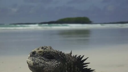 Ecuador – Andenhochland, Amazonas & Galapagos