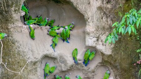 Ecuador – Andenhochland, Amazonas & Galapagos