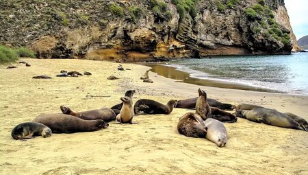 Ecuador – Galapagos Inselhopping im Naturparadies
