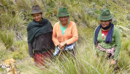 Ecuador – Humboldts Straße der Vulkane