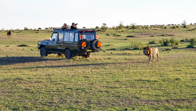 Kenia – Trekking Mount Kenya & Safari Masai Mara