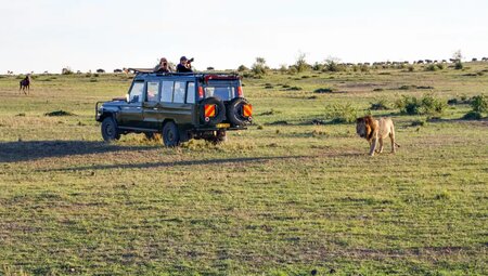 Kenia – Trekking Mount Kenya & Safari Masai Mara
