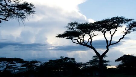 Tansania – Safari intensiv