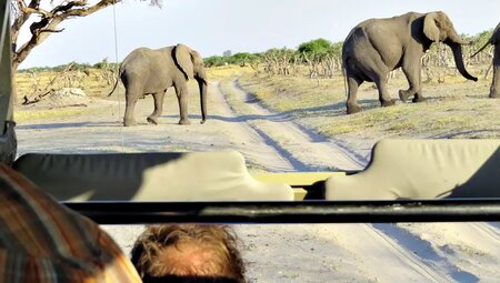 Tansania - Safari intensiv (Reiseverlängerung)