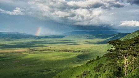 Tansania – Safari kompakt