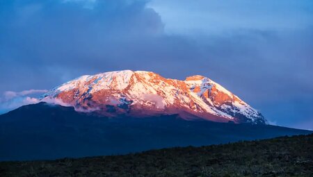Kilimanjaro – Besteigung über die Lemosho-Route