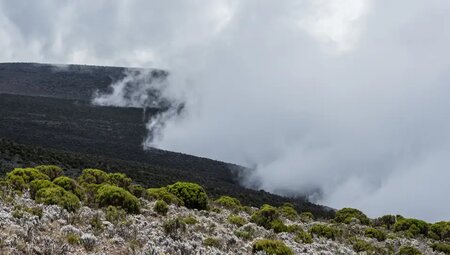 Kilimanjaro – Besteigung über die Lemosho-Route