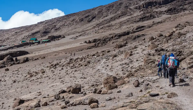 Kilimanjaro Lemosho-Route (Northern Circuit) Gruppenreise inkl. Flug