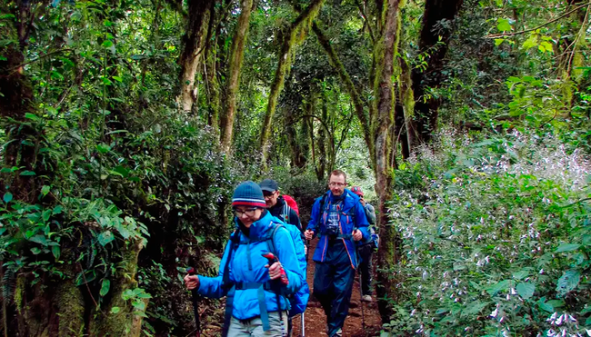 Kilimanjaro Marangu-Route Gruppenreise inkl. Flug