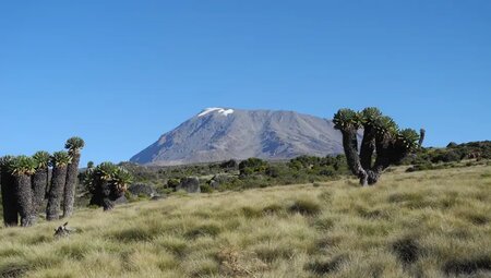 Kilimanjaro Marangu-Route Gruppenreise inkl. Flug