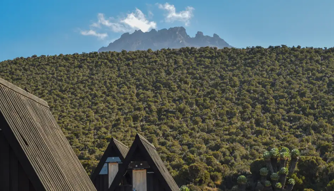 Kilimanjaro – Marangu-Route (Wunschtermin)