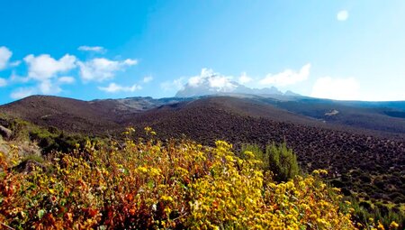 Kilimanjaro – Marangu-Route (Wunschtermin)