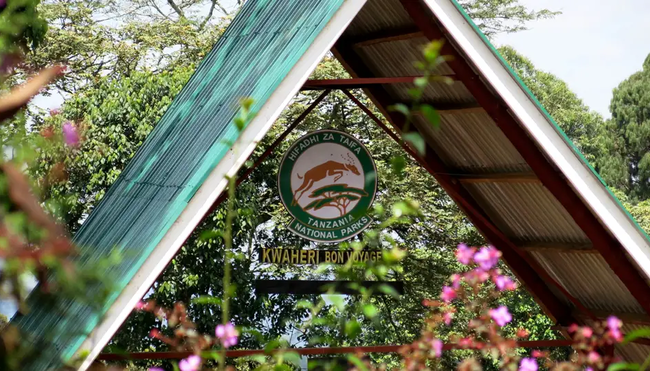 Kilimanjaro Machame-Route mit Karanga Camp - Wunschtermin