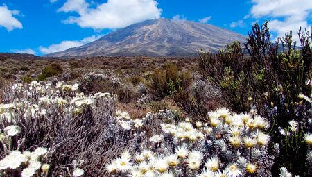 Kilimanjaro – Überschreitung auf der Kikelewa-Route