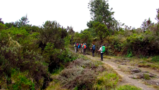 Kilimanjaro – Überschreitung auf der Kikelewa-Route