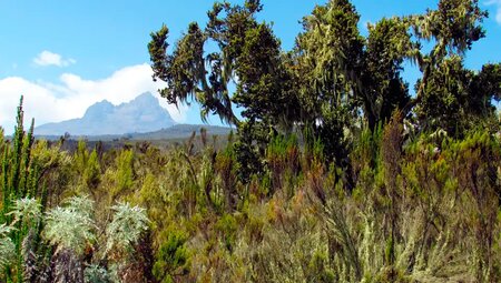 Kilimanjaro – Überschreitung auf der Kikelewa-Route