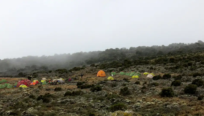 Tansania - Kilimanjaro Machame-Route mit Karanga Camp Gruppenreise inkl. Flug