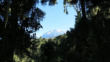 Kilimanjaro – Besteigung über die Machame-Route