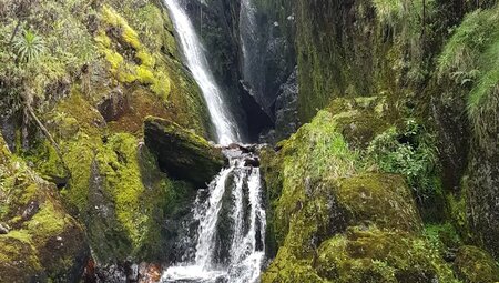 Uganda, Ruanda – Gorilla-Tracking und Ruwenzori-Gebirge