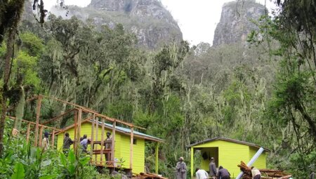 Uganda, Ruanda – Gorilla-Tracking und Ruwenzori-Gebirge