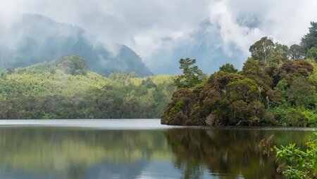 Uganda, Ruanda – Gorilla-Tracking und Ruwenzori-Gebirge