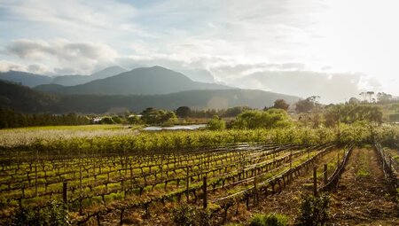 Südafrika – Wanderreise entlang der Garden Route