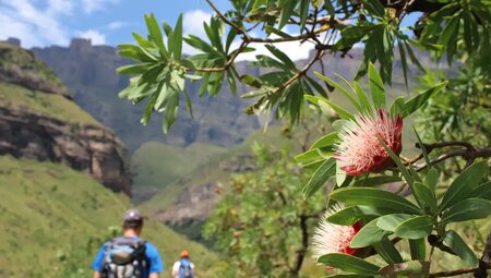 Südafrika – Durch Königreiche nach Kapstadt