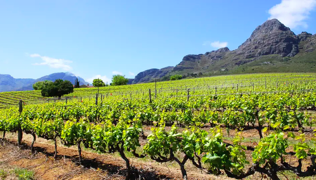 Südafrika - Durch Königreiche nach Kapstadt