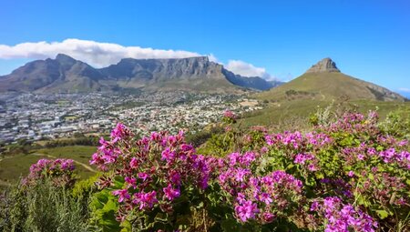 Südafrika – Durch Königreiche nach Kapstadt