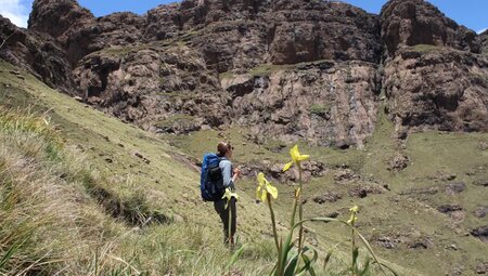 Südafrika – Überquerung der Drakensberge & Safari