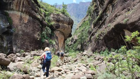Südafrika – Drakensberge & Safari im Nordosten
