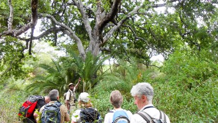 Südafrika – Drakensberge & Safari im Nordosten