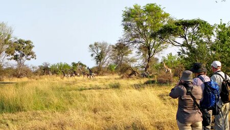 Südafrika – Drakensberge & Safari im Nordosten