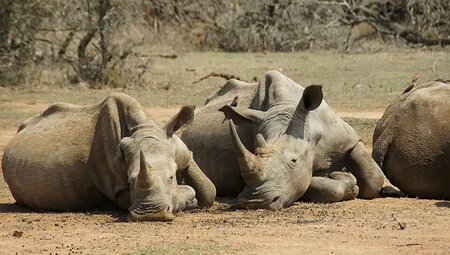 Südafrika – Drakensberge & Safari im Nordosten