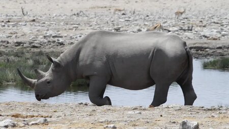 Südliches Afrika – Camping-Safari im Outback Afrikas
