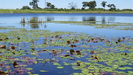 Südliches Afrika – Camping-Safari im Outback Afrikas