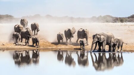 Südliches Afrika – Camping-Safari im Outback Afrikas