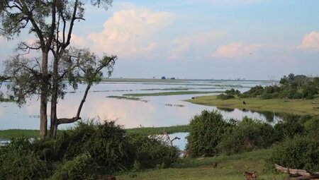 Botswana mit Egmont Strigl – Das grüne Herz der Kalahari