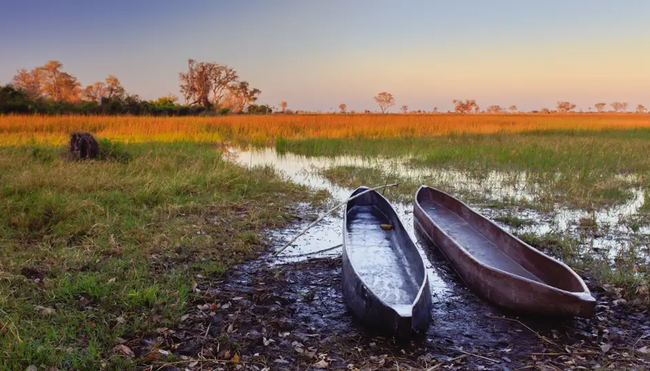 Botswana, Simbabwe – Okavango Delta, Big Five & Victoriafälle