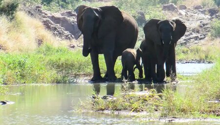 Botswana, Simbabwe – Okavango Delta, Big Five & Victoriafälle