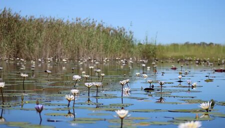 Botswana, Simbabwe – Okavango Delta, Big Five & Victoriafälle