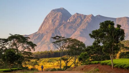 Malawi – Mulanje-Massiv, Safari & Lake Malawi