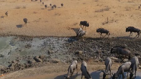 Namibia – Wüstenimpressionen und Tiervielfalt