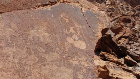 Namibia – Wüstenimpressionen und Tiervielfalt