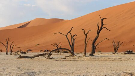 Namibia – Wüstenimpressionen und Tiervielfalt