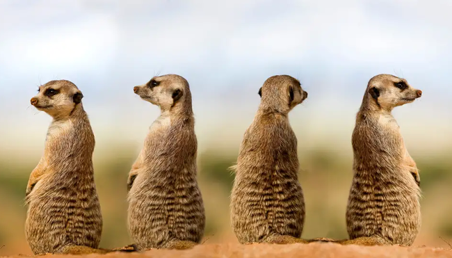 Namibia – Wandern durch die Wunderwelt der Wüsten