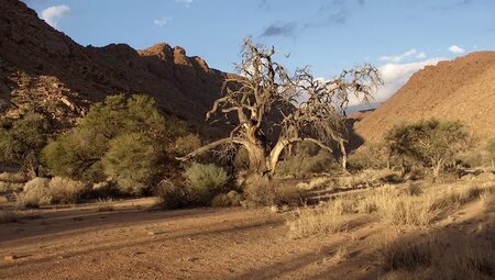 Namibia – Wandern durch die Wunderwelt der Wüsten